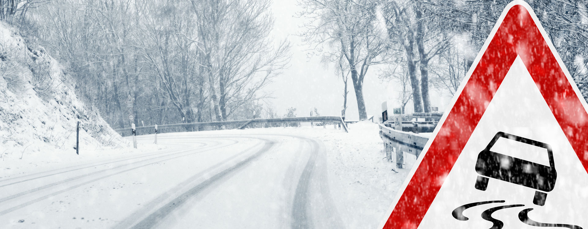 Free Winter Check Free Winter Check
